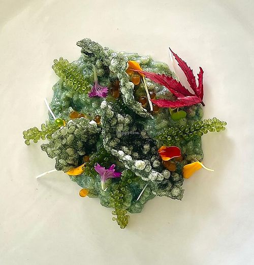 spirulina risotto, seaweeds and rice spirulina crackers  at The Seasons Restaurant in Takua Thung