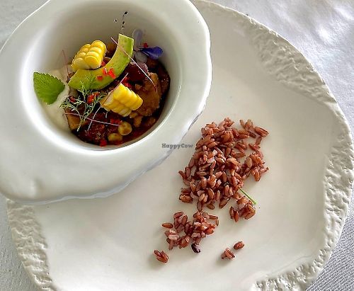 chili sin carne with 'khao rai' rice (Phan-nga autochthon grain) local crafted tofu Chiang Mai avocado and plant based sour cream  at The Seasons Restaurant in Takua Thung