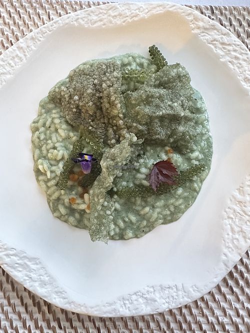 The most tasty Parmesan , Spirulina risotto   at The Seasons Restaurant in Takua Thung