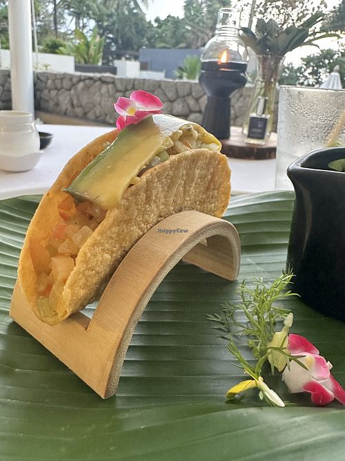 Taco 🌮 with smoked taste, so so good   at The Seasons Restaurant in Takua Thung