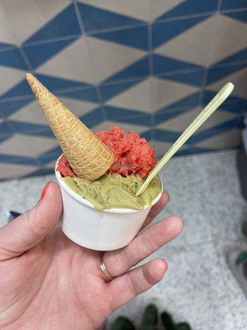   at Cremola in Mallorca