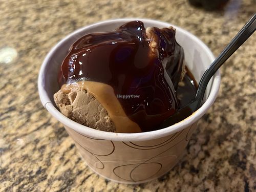   at Pirate's Hide-Out in Waterford