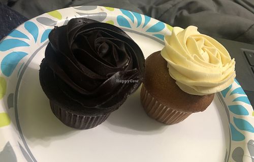 Vegan chocolate cupcake with chocolate icing, and vanilla cupcake with vanilla icing  at Trefzger's Bakery in Peoria Heights