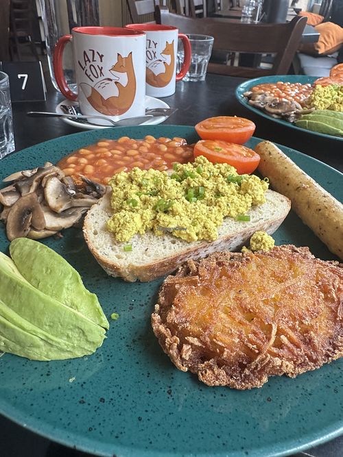   at Lazy Fox in Helsinki