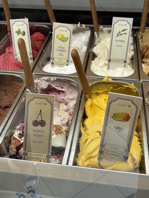 Options (see the ones that say vegan)  at Levendula Fagylaltozó in Szentendre