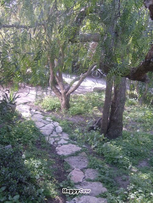 green entrance at Centro Tinkuy - Gracias a la Vida Association in Sintra