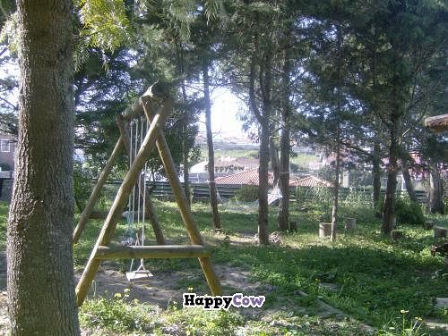 swing for all ages´kids at Centro Tinkuy - Gracias a la Vida Association in Sintra