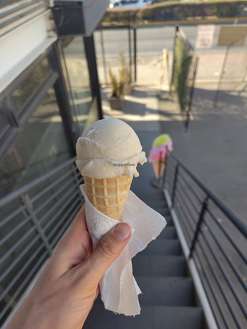 Vanilla ice-cream!! Such a rare vegan find at Vegansté in Providencia