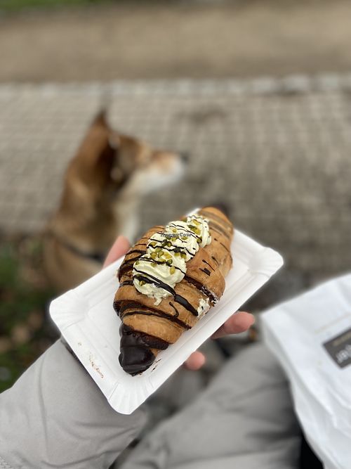   at Bäckerei Riegler - Bismarckplatz in Heidelberg