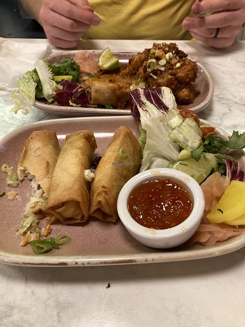 Spring rolls and crispy chicken  at Meat The Vegans in North West London