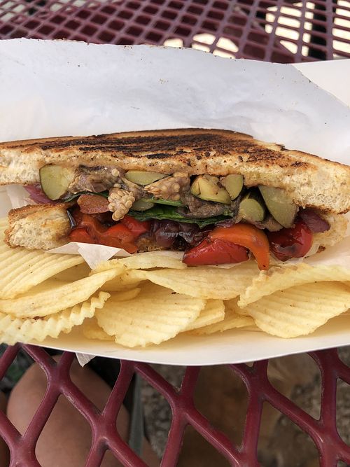 Vegan panini  at Paninis Plus in Moab