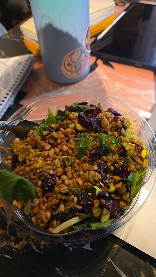 Farro salad at Sullivan Taylor Coffee House in Macomb