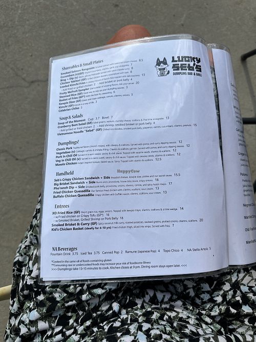 Menu - V denotes vegan items, others can be adapted   at Lucky Seb's in Lawrence