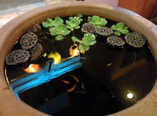 fish pond feng shui at Tubi in Ho Chi Minh City
