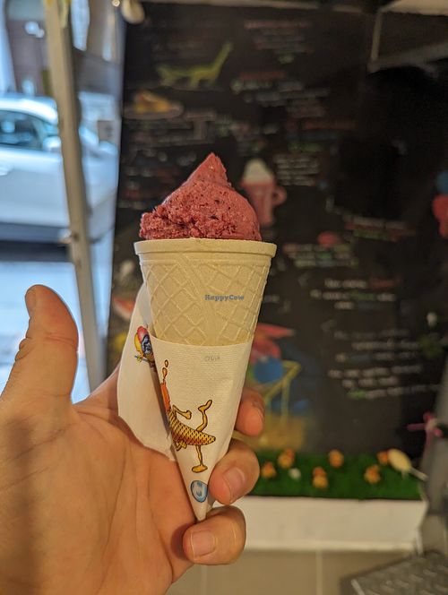One scoop forest Berry one scoop caramel at Fittnass in Budapest