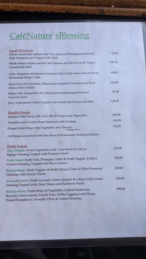 Menu 3 at Cafe Nature's Blessing in Mysore
