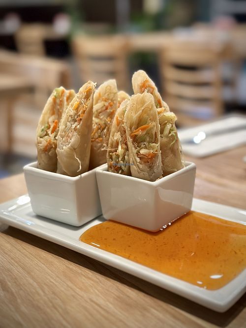 The Garden Thai Restaurant Manhattan Beach California Restaurant