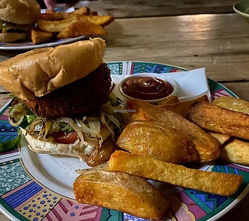 Burger and fries (from November 2024)  at The Free House Pub in Nelson
