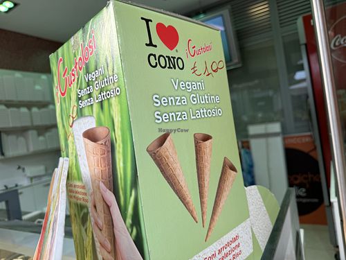 vegan cones  at Gelateria Le Magiche Voglie in Venice