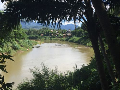 location of cooking classes  at Tamarind - A Taste of Laos in Luang Prabang