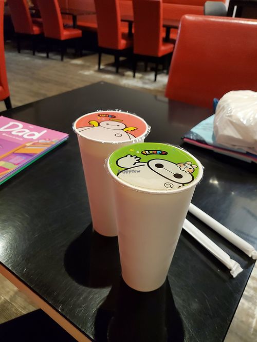 Boba at L'Oeil de Chat in Sherbrooke