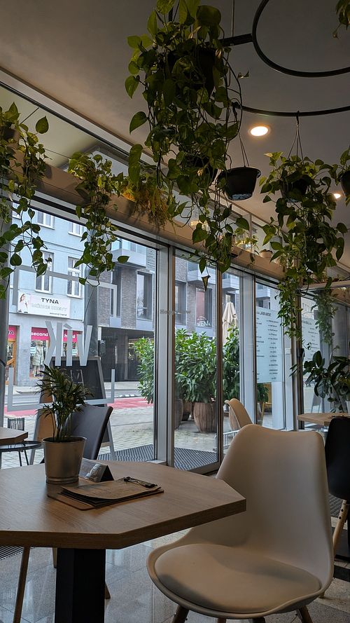 Interior at VíK - Vegan Venue in Bratislava
