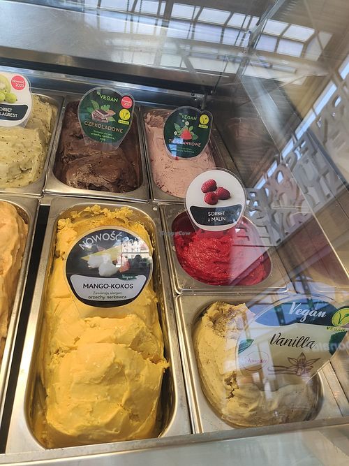 Labelled vegan options at Grycan in Bydgoszcz