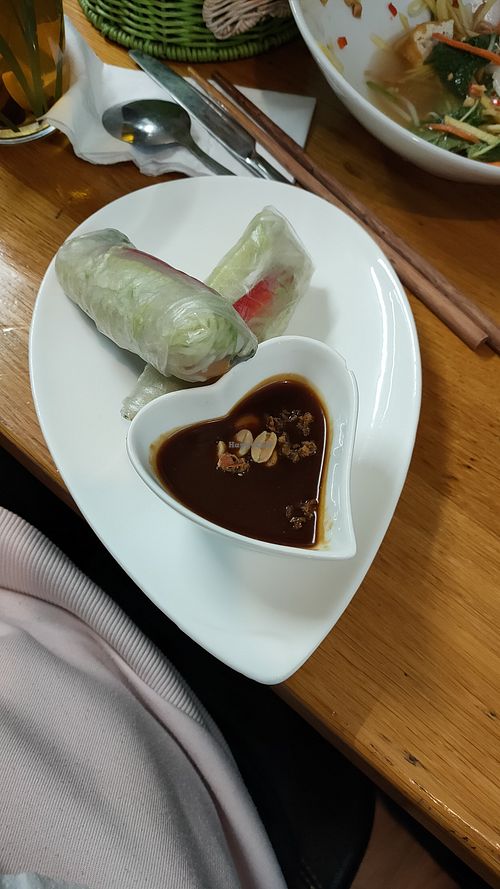Vegan summer rolls with peanut sauce at Coco Viet in Cologne