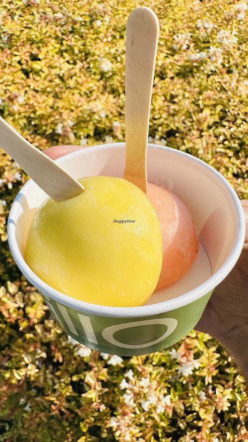   at Lillo - Aqua Florya AVM in Istanbul