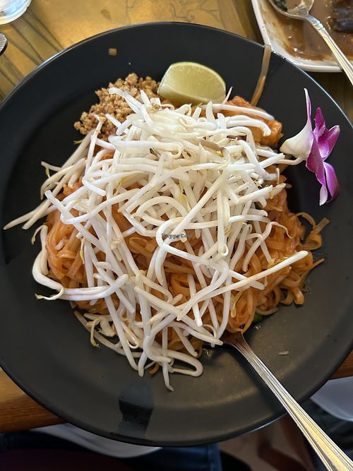 Pad Thai with tofu.  at Orchid Thai in Lincoln