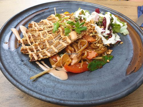 Udon noodles with mock duck at Vegana Vietnamese Restaurant in Mannheim