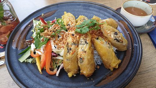Spring Rolls with rice noodle salad at Vegana Vietnamese Restaurant in Mannheim