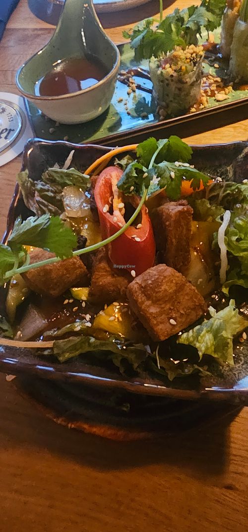  at Vegana Vietnamese Restaurant in Mannheim