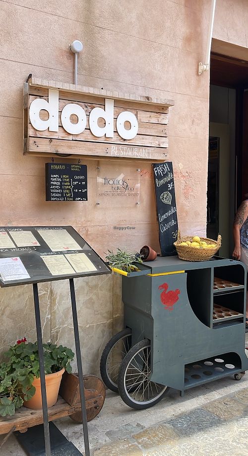   at DODO in Mallorca