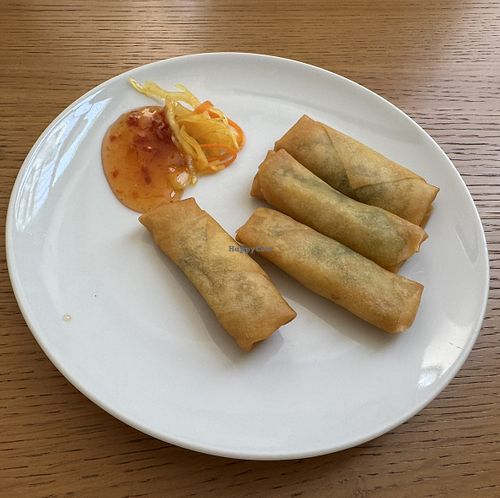 Spring rolls  at Mian in Vienna
