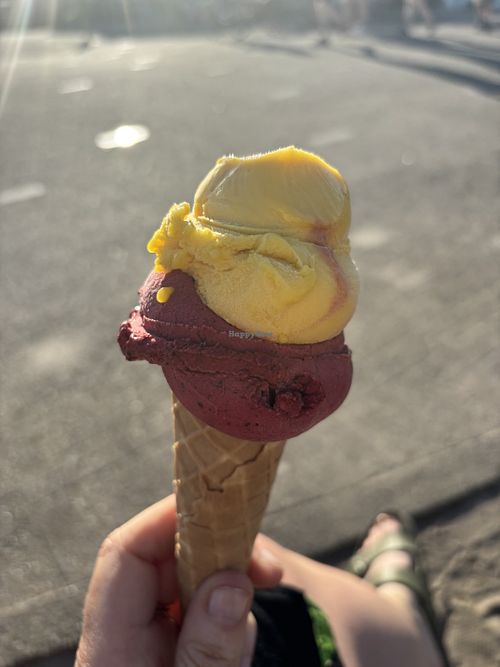 Heerlijk Vegan ijs   at IJssalon IJsie Prima in Callantsoog