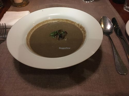 Soup of the day (mushrooms) at Quinoa in Las Condes