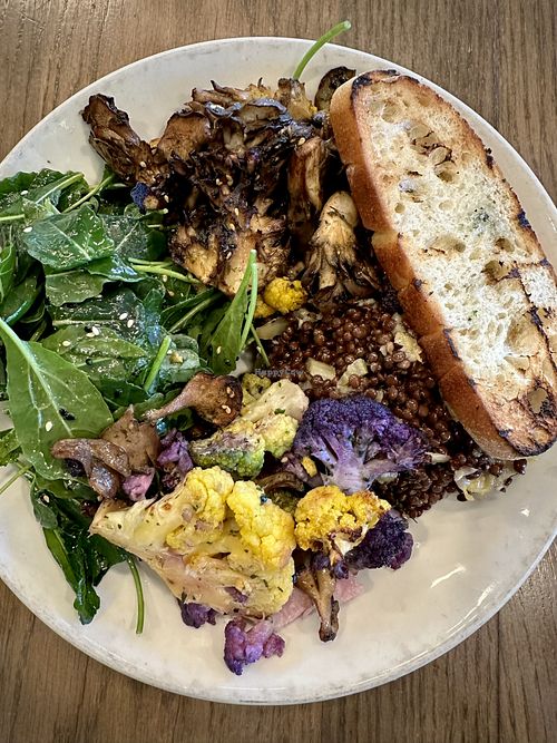 Longevity Bowl with Roasted Maitaike Mushroom  at Tender Greens in Torrance