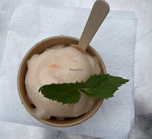 Cantaloupe sorbet  at Superior Creamery in Grand Marais