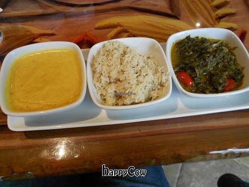 Stewed lentils, Basmati rice, and mixed seasonal greens with tomatoes at Sanaa in Lake Buena Vista