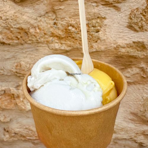 Coconut 🥥 and passion fruit 🍈   at Helados Ecologicos in Mallorca
