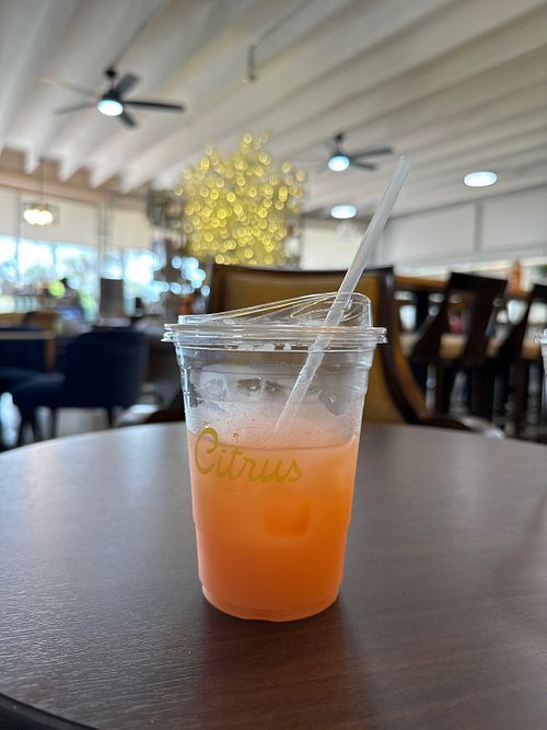   at Citrus Coffee in Clermont