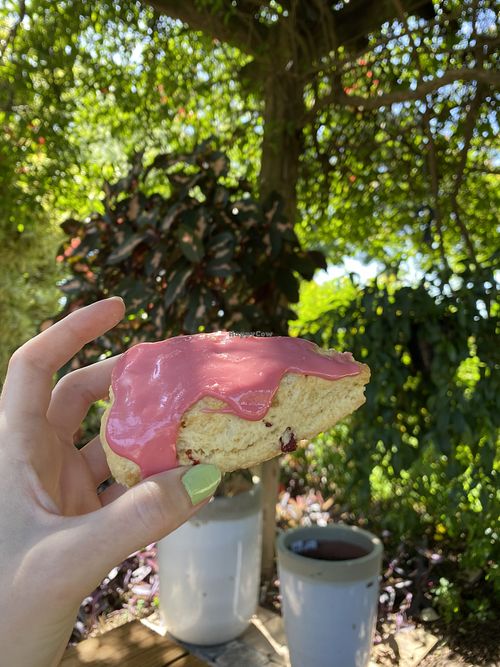 Lemon/blueberry scone  at Garden Party in Rockledge