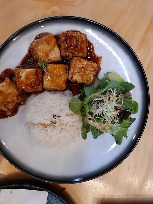 Teriyaki tofu and salad at Koji Sushi Japanese Restaurant in Warwick
