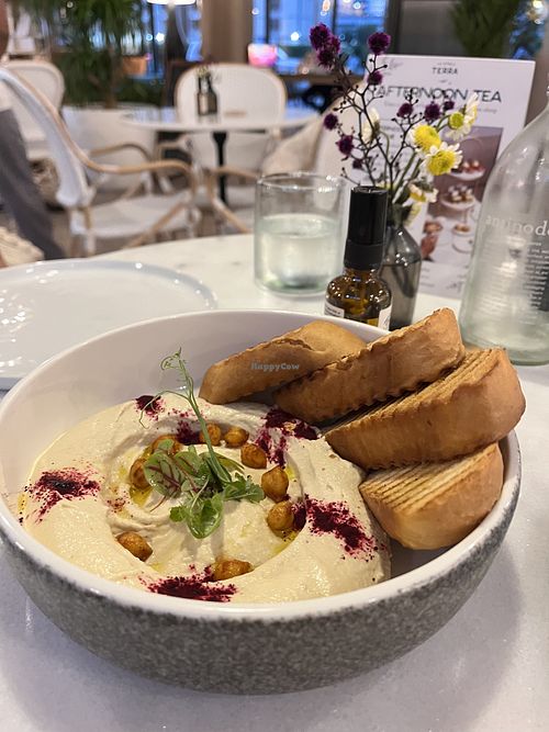 Hummus  at Planet Terra - Ibis Hotel Dubai in Dubai