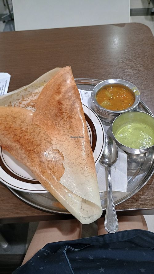 Masala dosa set at Halal Dosa Biryani - ハラールドーサビリヤニ in Narita