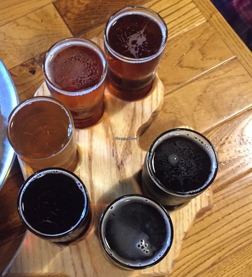 Mitten sampler microbrew flight at The Mitten Brewing Co in Grand Rapids