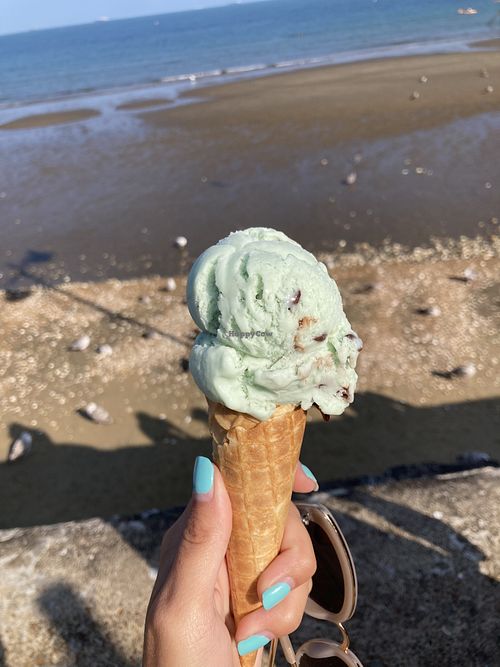   at Toppings in Apse Heath