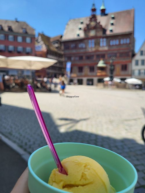 Mango ice cream in recup at Café Chocolat in Tubingen