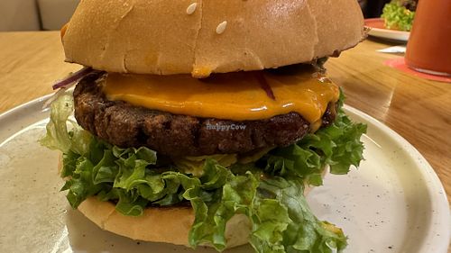   at Hulala in Dusseldorf